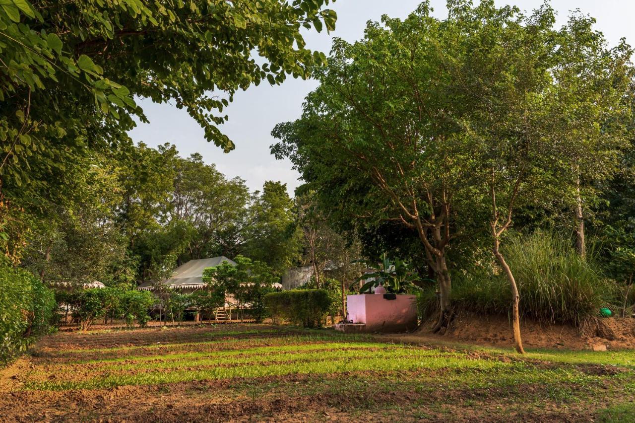Tiger Machan Sawai Madhopur Extérieur photo